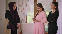 Episodul 245