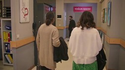 Episodul 17
