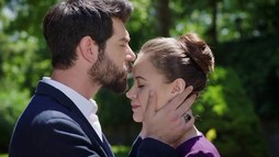 Episodul 316