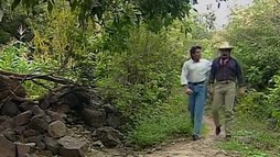 Episodul 26