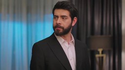 Episodul 213