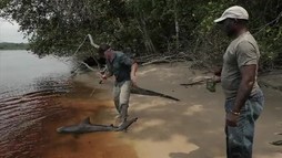 Episodul 6