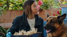 Episodul 7