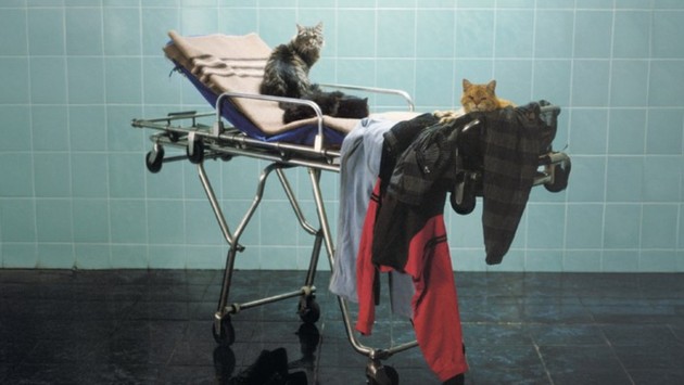 „Moartea domnului Lăzărescu”, comedia care te face să râzi cu nod în gât