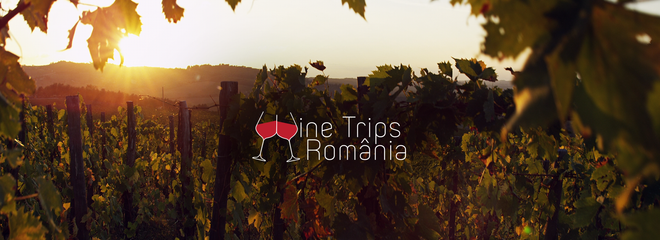 Wine Trips România