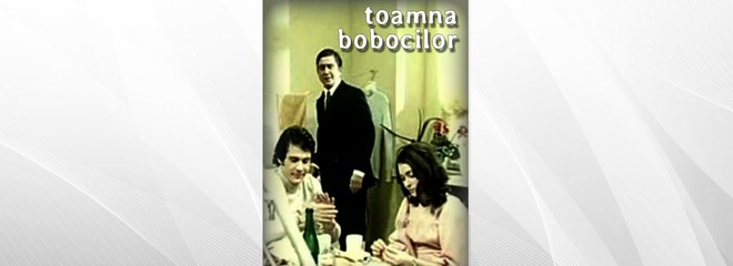 TOAMNA BOBOCILOR
