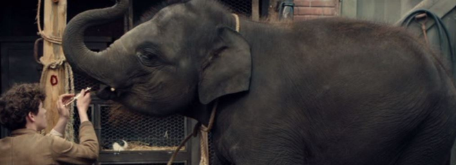 Zoo